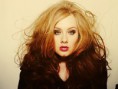 /album/adele/b23a40fdcb76b04a5385dfcd41535a53-jpg1/